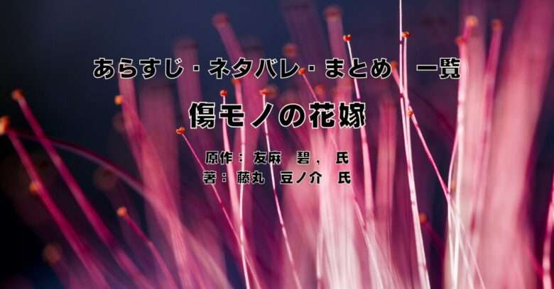 傷モノの花嫁indexの表紙画像（レビュー記事導入用）