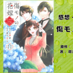 傷モノの花嫁11の表紙画像（レビュー記事導入用）