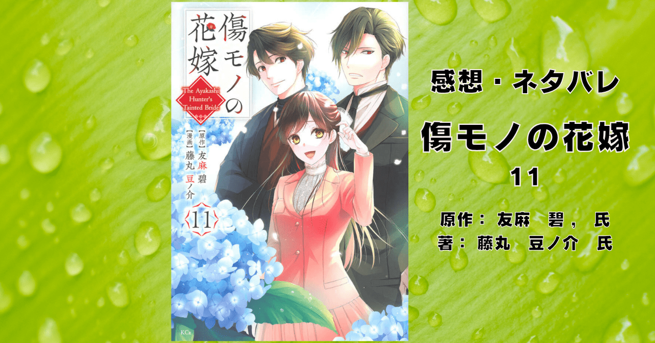 傷モノの花嫁11の表紙画像（レビュー記事導入用）