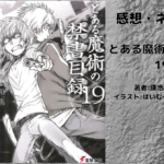 とある魔術の禁書目録 19の表紙画像（レビュー記事導入用）
