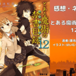 とある魔術の禁書目録 12の表紙画像（レビュー記事導入用）