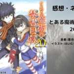 とある魔術の禁書目録 20の表紙画像（レビュー記事導入用）