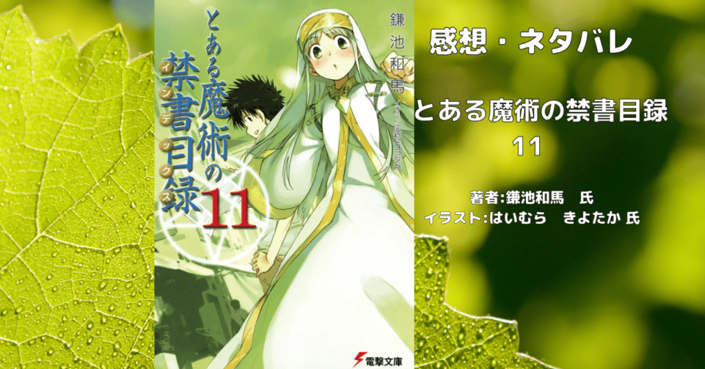 とある魔術の禁書目録 11の表紙画像（レビュー記事導入用）