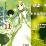 とある魔術の禁書目録 11の表紙画像（レビュー記事導入用）
