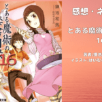 とある魔術の禁書目録 16の表紙画像（レビュー記事導入用）