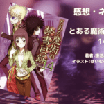 とある魔術の禁書目録 14の表紙画像（レビュー記事導入用）