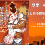 とある魔術の禁書目録 21の表紙画像（レビュー記事導入用）
