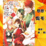 傷モノの花嫁12の表紙画像（レビュー記事導入用）