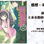 新約とある魔術の禁書目録 17の表紙画像（レビュー記事導入用）