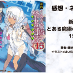 新約とある魔術の禁書目録 15の表紙画像（レビュー記事導入用）