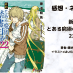 新約とある魔術の禁書目録 22の表紙画像（レビュー記事導入用）