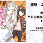 新約とある魔術の禁書目録 12の表紙画像（レビュー記事導入用）