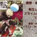 転スラ12巻の表紙画像（レビュー記事導入用）